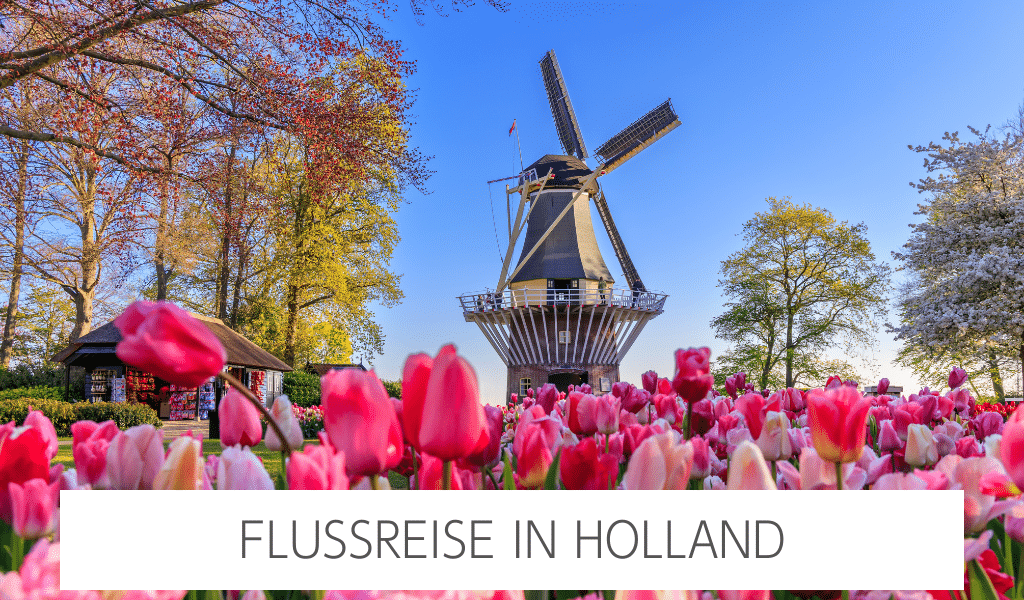 Ein rosa Tulpenfeld mit Bäumen, welche gerade anfangen zu blühen. Im Fokus steht eine alte holländische Windmühle und dem Schriftzug "Flussreise in Holland".