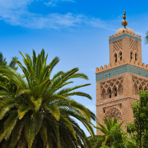 Im Bild zu sehen ist ein blauer Himmel in Marrakesch, links unten eine große Palme und auf der rechten Seite ist der Turm von der Koutoubia-Moschee und auch Palmen