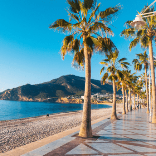 Auf dem Bild zu sehen ist ein Teil von Alicante. Rechts im Bild ist ein marmorierter Weg mit Palmen links und rechts. Links auf dem Bild zu sehen ist das blaue Meer und ein Stran. Im Hintergrund Berge und der strahlend blaue Himmel.